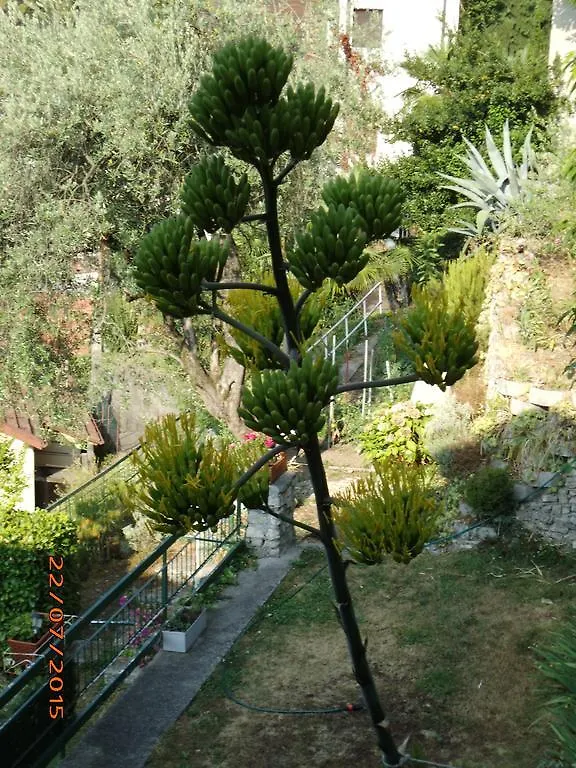 Villa Bianca Valsolda